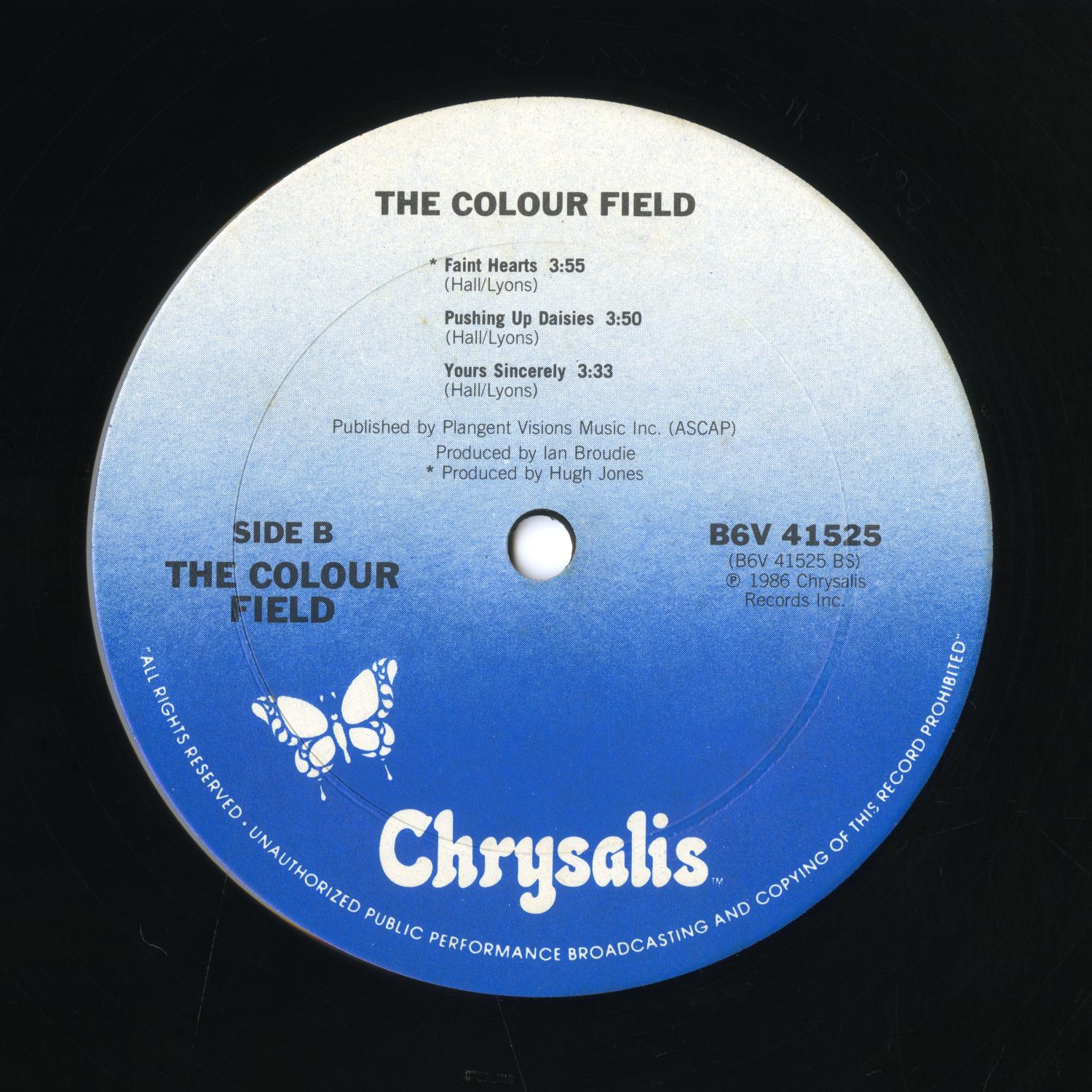 The Colour Field『The Colour Field』05